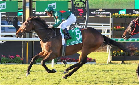 stradbroke handicap 2022|Stradbroke Handicap 2022 Results: Alligator Blood Beats Private .